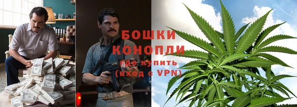 молекула духа Алексин