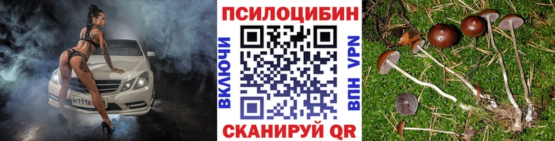 Галлюциногенные грибы мицелий  KRAKEN   shop телеграм  Лахденпохья 